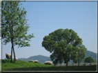 foto Colline tra Fonte Alto e Paderno del Grappa